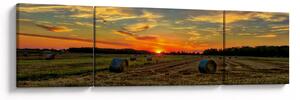 Obraz - Wiejskie bale (170x50 cm)