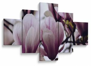 Obraz - Magnolia (125x70 cm)