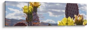 Obraz opuncji (170x50 cm)