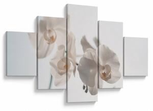 Obraz białej orchidei (125x70 cm)