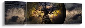 Obraz - Tajemnicze niebo (170x50 cm)