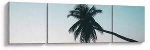 Obraz - Palma na Bali (170x50 cm)