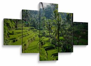 Obraz tarasów ryżowych Tegalalang, Bali (125x70 cm)