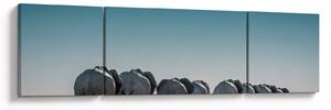 Obraz - Odejście słoni (170x50 cm)