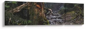Obraz - W lesie (170x50 cm)