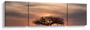 Obraz zachodu słońca w Tanzanii (170x50 cm)