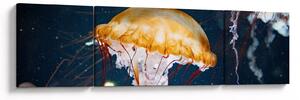 Obraz meduzy (170x50 cm)