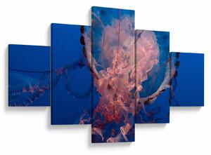 Obraz meduzy (125x70 cm)
