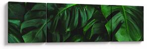 Obraz liści Monstery (170x50 cm)