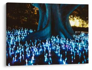 Obraz - Magiczne drzewo (70x50 cm)