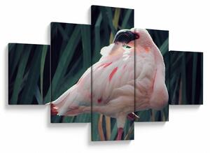 Obraz - Flaming (125x70 cm)