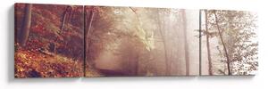 Obraz - Jesienny spacer po lesie (170x50 cm)