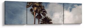 Obraz - Palmowy dramat (170x50 cm)