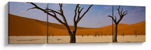 Obraz - Dolina Śmierci (170x50 cm)