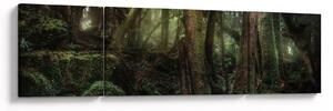 Obraz - Tajemniczy las (170x50 cm)