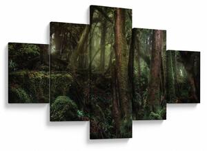 Obraz - Tajemniczy las (125x70 cm)