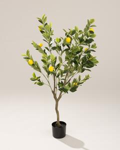 Drzewko cytrynowe Classic w doniczce 125 cm
