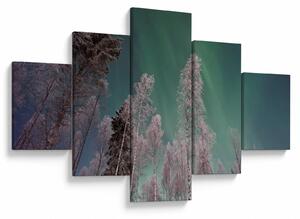 Obraz zorzy polarnej nad zamarzniętymi drzewami (125x70 cm)