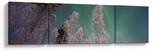 Obraz zorzy polarnej nad zamarzniętymi drzewami (170x50 cm)