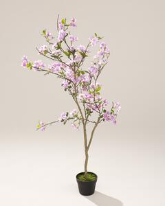 Drzewko Sakura w doniczce 130 cm