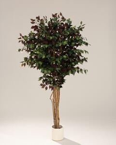 Drzewko dekoracyjne Burgundy w doniczce 210 cm