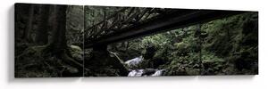 Obraz z czarnego lasu (170x50 cm)