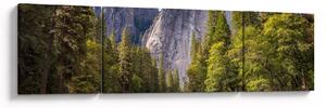 Obraz - Pod Yosemite Rock (170x50 cm)