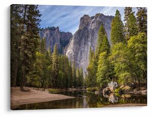 Obraz - Pod Yosemite Rock (70x50 cm)