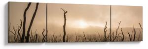 Obraz - Nagie drzewa (170x50 cm)