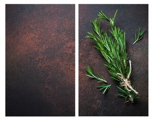 Płyty ochronne na kuchenkę ze szkła hartowanego zestaw 2 szt. 52x30 cm Rosemary – Allstar