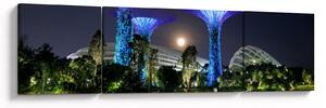 Obraz przedstawiający pełnię księżyca w ogrodach Singapuru (170x50 cm)