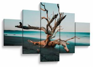 Obraz - Wyłowiono na plaży (125x70 cm)