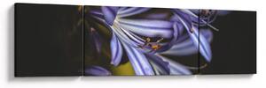 Obraz - Lilia (170x50 cm)
