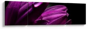Obraz - Kropla wody (170x50 cm)