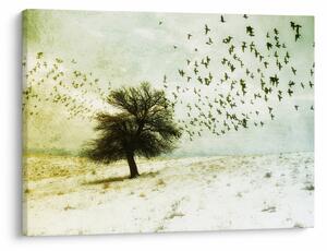 Obraz - Malowane stado ptaków (70x50 cm)