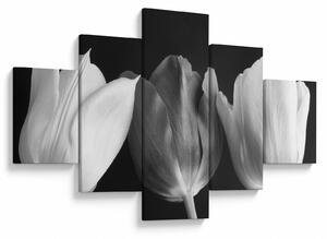 Obraz - Czarno - białe kwiaty tulipanów (125x70 cm)
