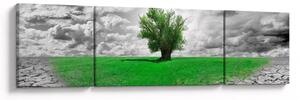 Obraz - Kawałek natury w mieście (170x50 cm)