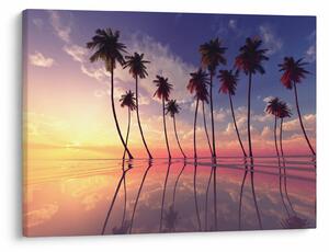 Obraz palm wznoszących się nad powierzchnią (70x50 cm)