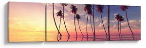 Obraz palm wznoszących się nad powierzchnią (170x50 cm)