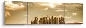 Obraz leśnej łąki (170x50 cm)