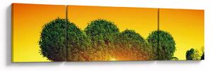 Obraz - Serce w koronach drzew (170x50 cm)
