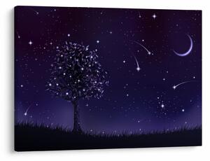 Obraz - Noc uchwycona przez ilustrację (70x50 cm)
