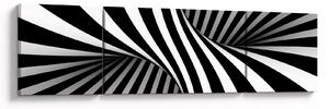 Abstrakcyjny obraz z paskami zebry (170x50 cm)
