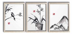Obrazy zestaw 3 szt. 38x53 cm – Wallity