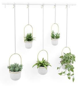 Kwietnik Triflora brass 5