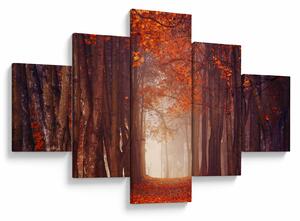 Obraz - Jesienny las (125x70 cm)