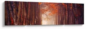 Obraz - Jesienny las (170x50 cm)