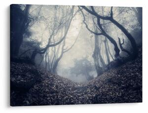 Obraz- Las we mgle (70x50 cm)