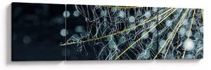 Obraz - Kwiat z pajęczyną (170x50 cm)