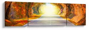 Obraz - Brama wykonana z koron drzew (170x50 cm)